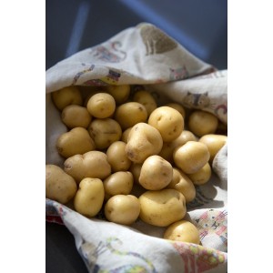 Baby potato-500gm