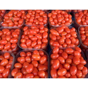 Tomato- Deshi-1 Kg